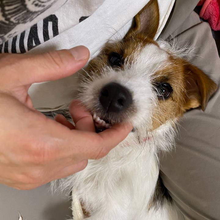 C012853e 38da 4194 a3ed 13392d51469e 1657632626376