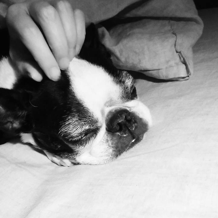 C012863d 4e90 4a11 8461 ec8ae49e202f 1539446795407