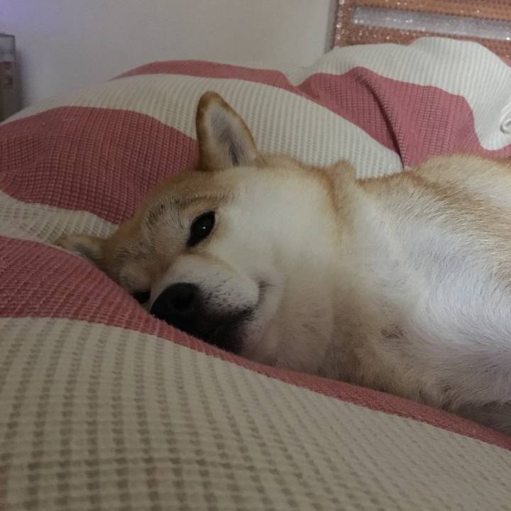 C012ee84 7853 4c33 a798 bde4eee07af5 1540171525539