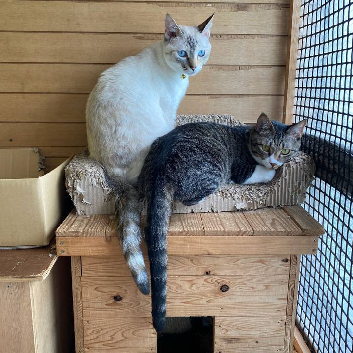 C01316a3 9bb6 416f b191 94dbe8a1b79b 1686445748542