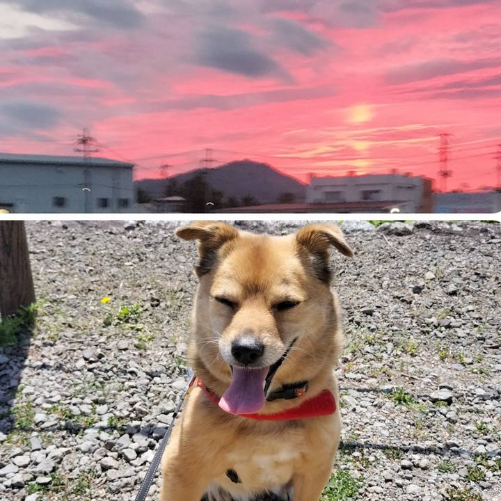 C013665a 1f4a 4e96 989a c35c1d1c776f 1716120426557