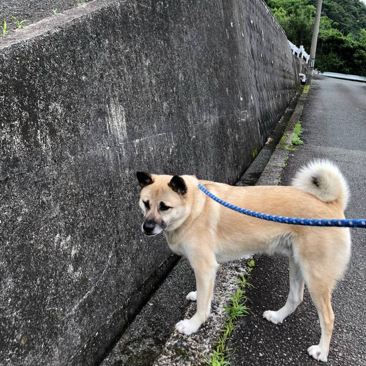 C0136780 13a2 456d 8d42 fc581126358f 1623498880442