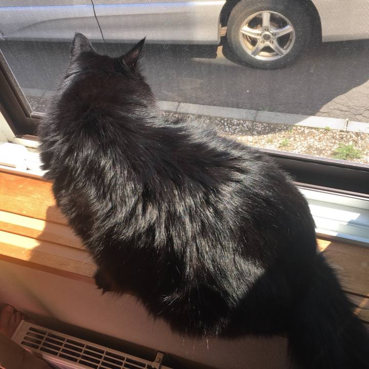 C01382d5 4184 4aec addd 014a291fef15 1556934903353