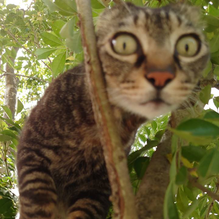 C013966f a3bc 4e55 9083 35f0371b0e97 1617246707142