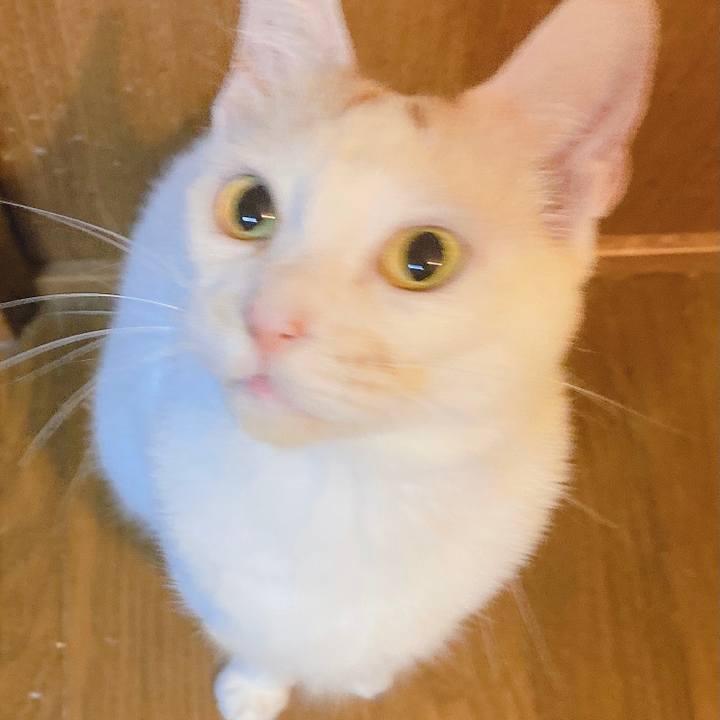 C013a442 a7f7 4d44 bbf0 89315e84cbdf 1628937073846