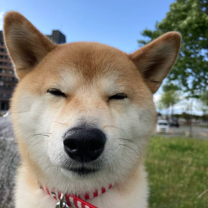 C013afdc 0945 4e59 8d9d 9785dd415b07 1652562815830