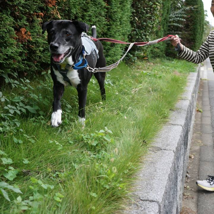 C013c4b1 5ae3 432d 9e3f 71bcba955ad9 1760402712900