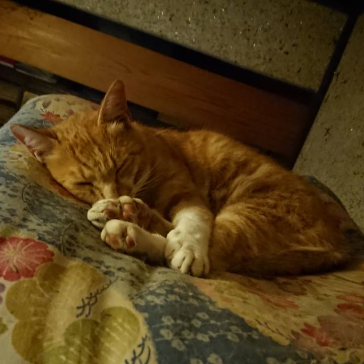 C013d920 7080 4e36 ad5a 1cc7baae402a 1596203554211