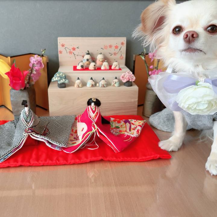 C014474e 84a0 4072 83ae 3f88344508a1 1709471642544