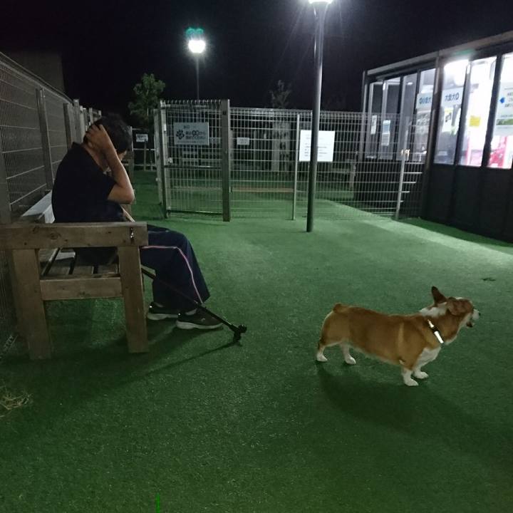 C01459bc c466 47ae b79f d842d3ff512b 1601977766647