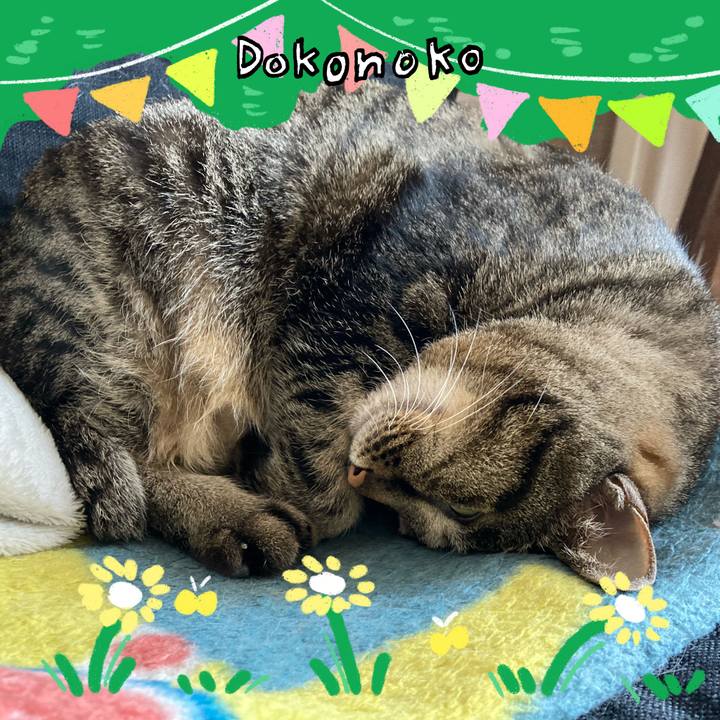 C0145a9f 949f 4f0c a475 ca7a076ebdfc 1711327691046