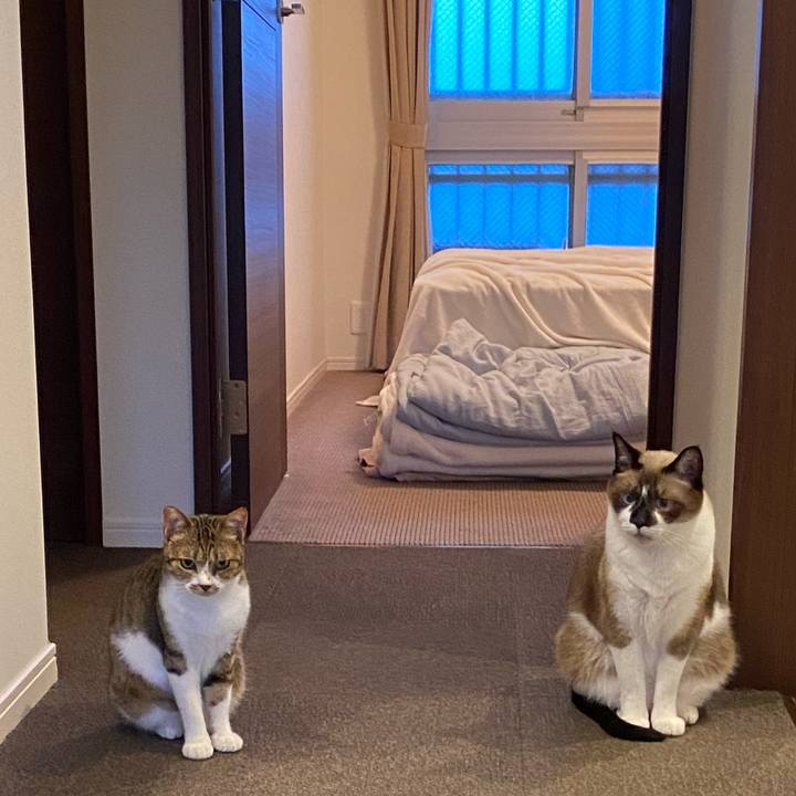 C0147386 203e 4494 b388 6bd4fb7f4f00 1597060435413