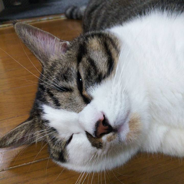 C01483c8 6948 4972 973f dabaf0330aea 1632829996842