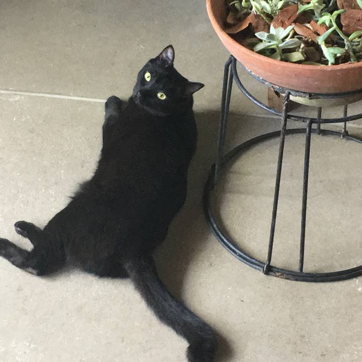 C014e3fc 8b5e 415d b8d1 7186d88daa0b 1534498810698