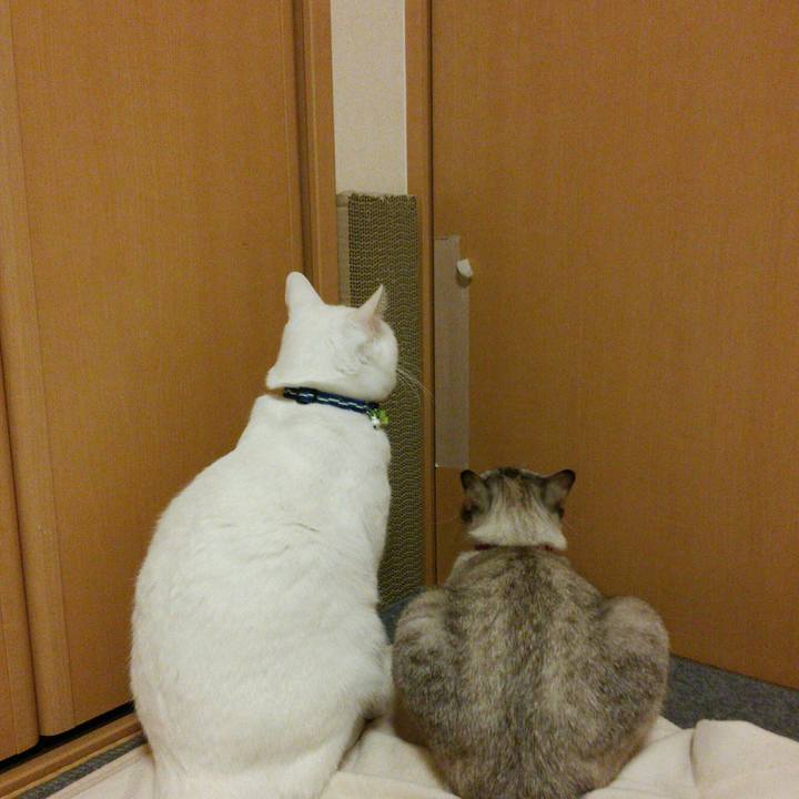 C014fe68 1f9e 4a9f af90 8f00e3c1edd4 1515902198882