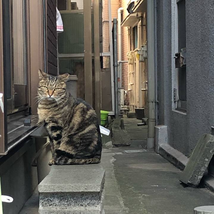 C0150a2c 1b5f 4d2a 8371 95499dc4e184 1546657364042