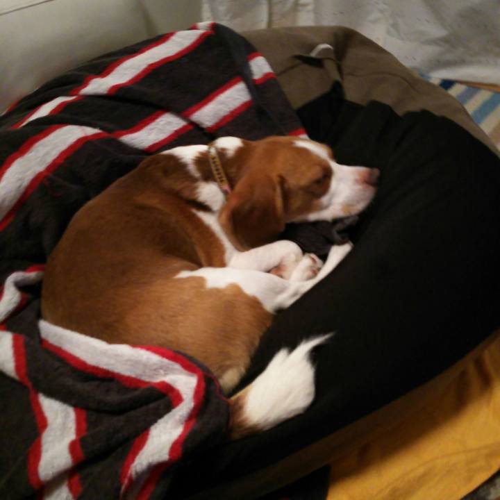 C0150ccb 3aaf 45a9 a669 10ee5d6c36d1 1539002336425