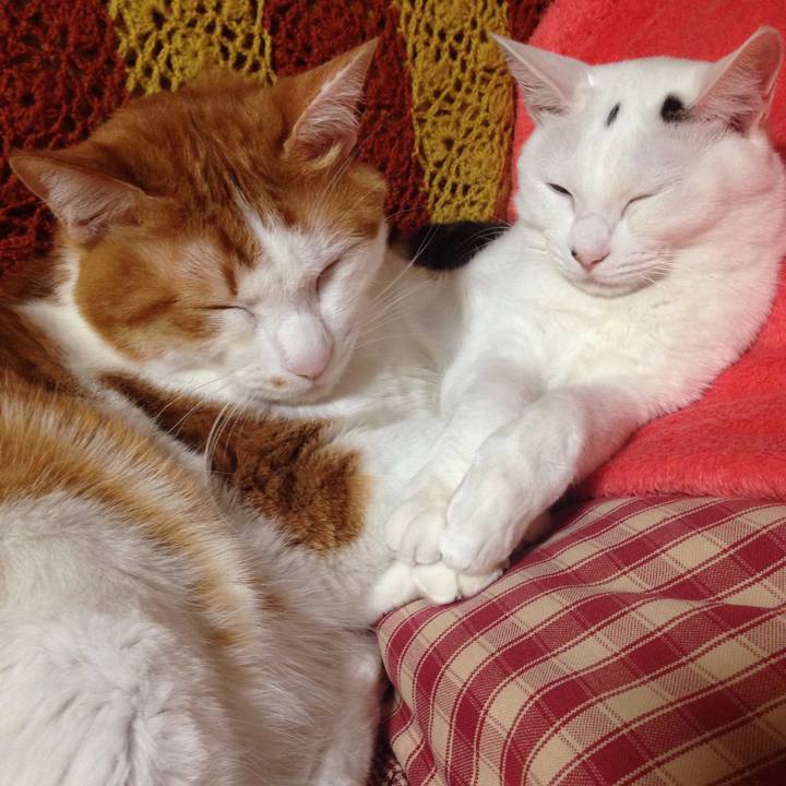 C0155e92 f2a5 416b 93a8 6e4172932d69 1511693171617