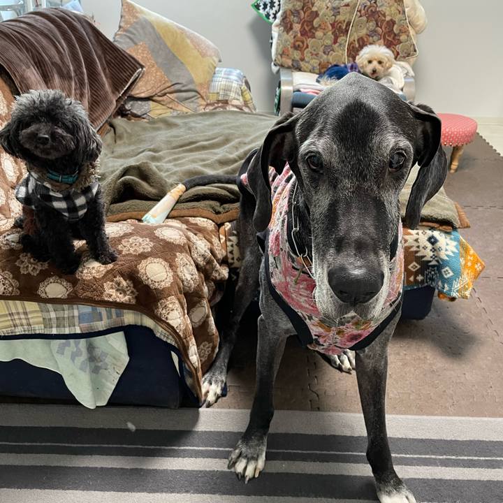 C0157791 47d2 430b 9477 e43bd1c00694 1644879053309