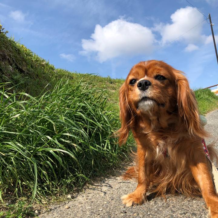 C0157db9 632c 4591 9b78 a66b333b5e56 1586606908532