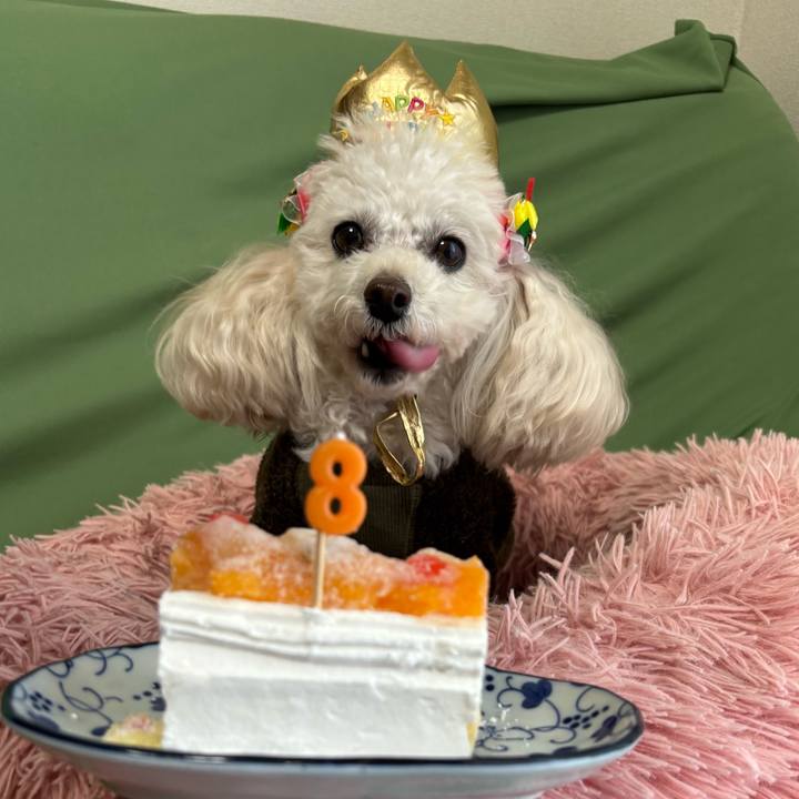 C015928d 411a 42eb a674 b059c6956062 1769932508554