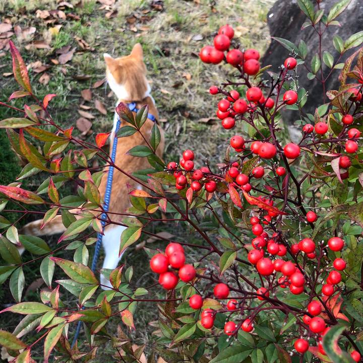 C015bd3d d69c 494b a4dc b8c8ad025752 1542695356059