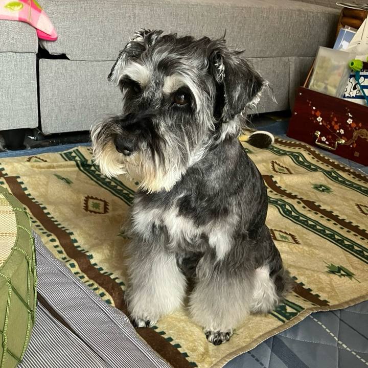 C015bdee 05e3 44e1 9fca da4318bd2bb7 1717821968742