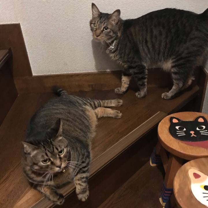 C015d99c a03e 4857 a6e6 b922df210edc 1620218760734