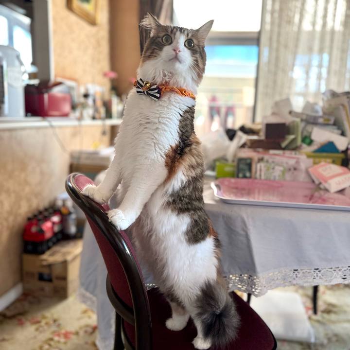 C015f3f0 c309 4feb 8bb9 47cdc7439fd8 1760666328202