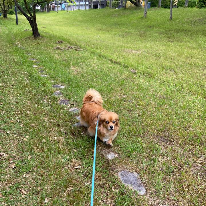 C01625ba 00b3 4882 8aea 2225d7f41e74 1590444826266