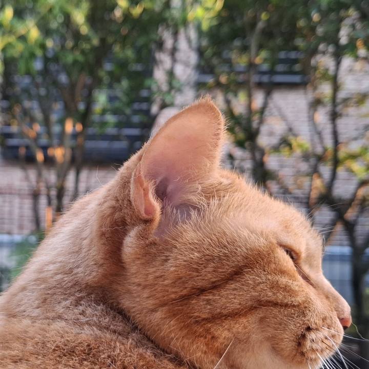 C0162e9c 7431 48ac 9ced 6b21a126ac94 1725684648687