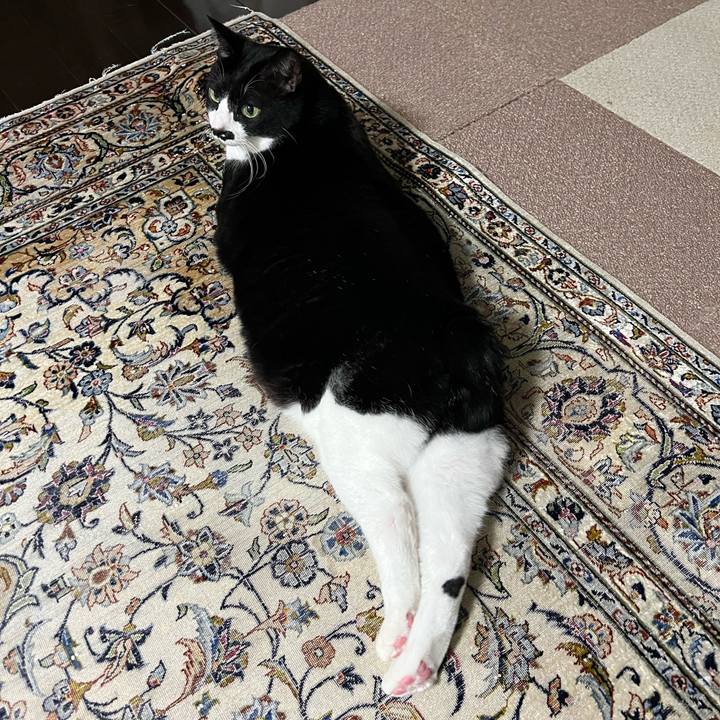 C016366d 3d4f 45a4 9b38 8dbf5d3ea18d 1763558645104