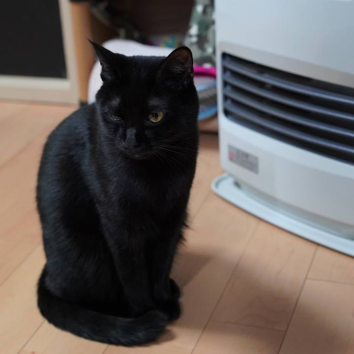 C0163bac b77e 4c87 af3f fd831561f999 1579338809095