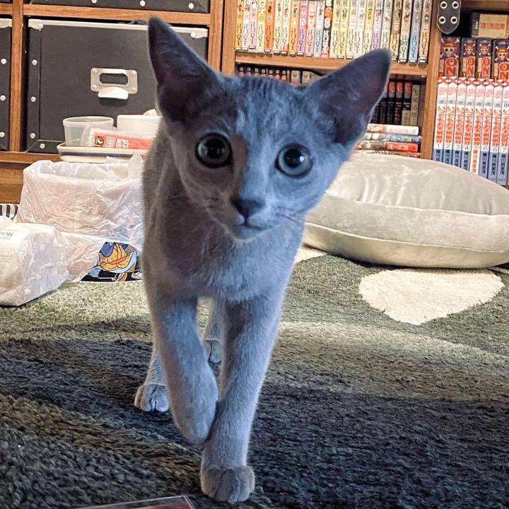 C016491d 2a33 4cf4 b8ce 311af39ebc69 1655811345122