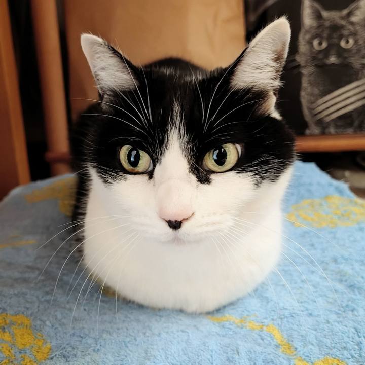 C016699c eea7 4ce7 b9bf 211145e8ec46 1772235140420