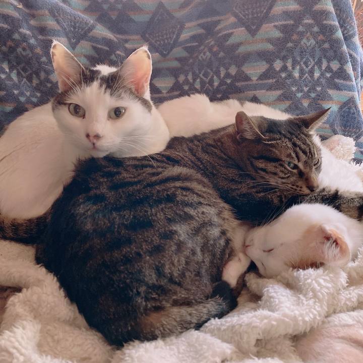 C0168990 a132 445d b055 4999b179a39e 1651546395426