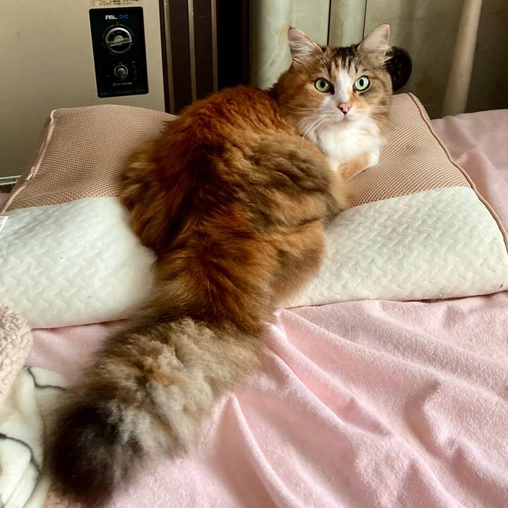 C0169f1b a73d 4496 bb56 aabb73c0b25d 1695076393254