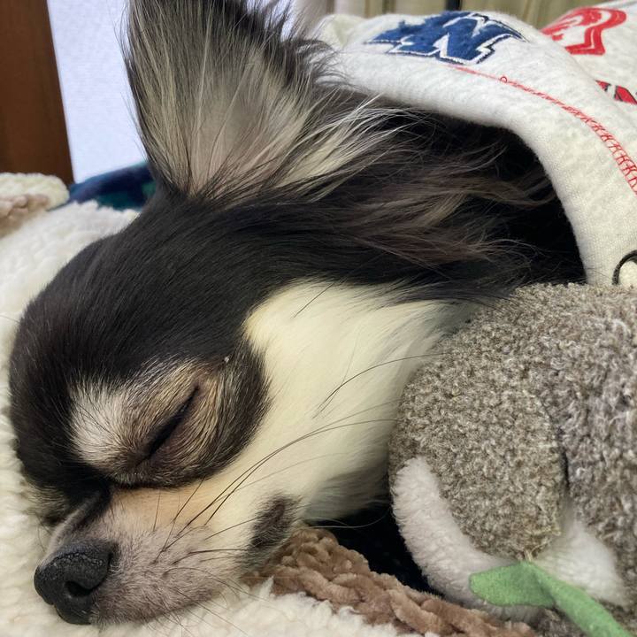 C016a2d5 624b 4425 b29b d20752adea3a 1644734260211