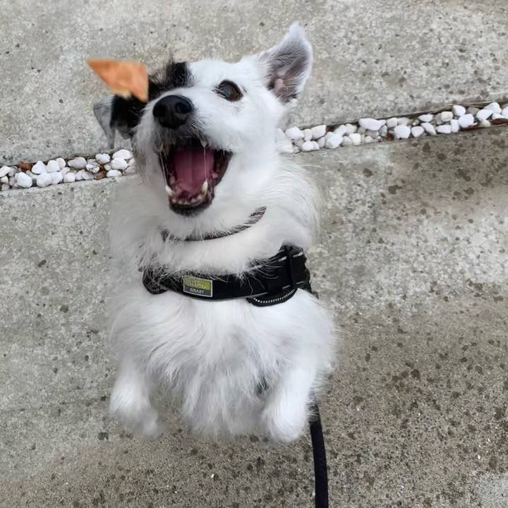 C016b798 61b7 4ea4 93d8 fe0f09d06a54 1746140020807