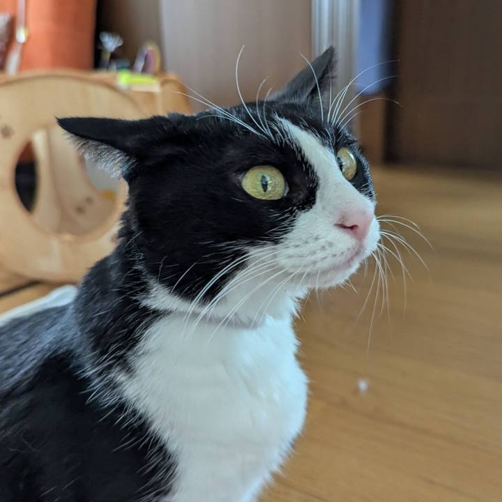 C016b799 06b7 4cc9 8299 1d64d8edd59e 1758679547196