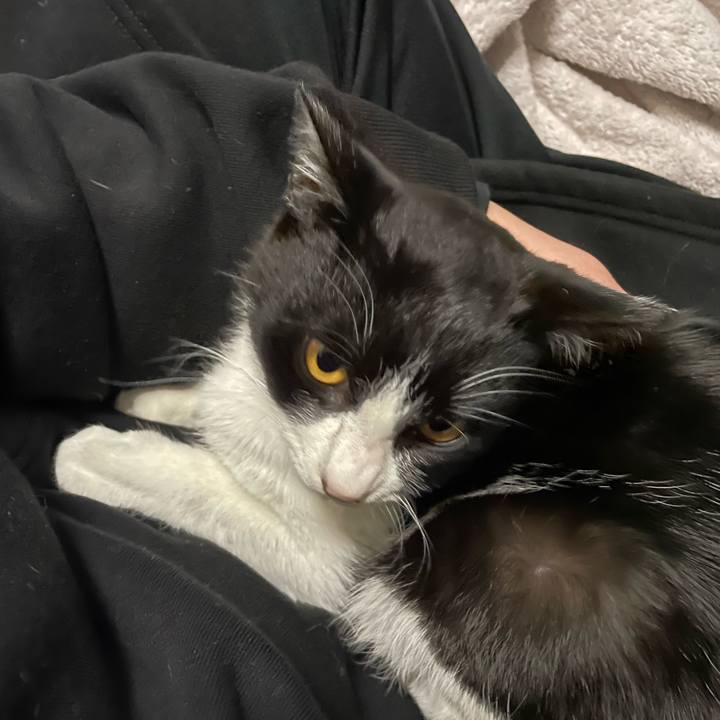 C01701fc 8c41 4710 84e9 6c0b3996bdf6 1676700782611