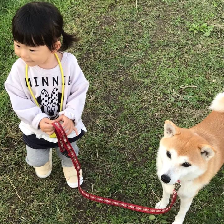 C0170363 b682 4189 86e1 8ccb7af7a74d 1572081537964