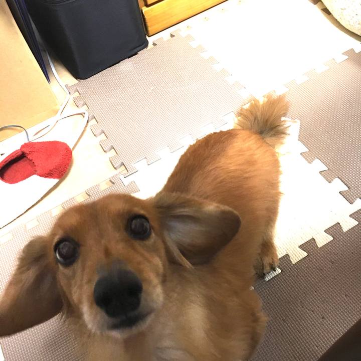 C01726d0 bc6b 40f2 95d1 1aa7ce25d4e9 1584541768068