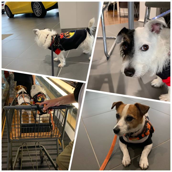 C0172948 476d 48b0 8cad cbd9d9fcb0ac 1598164446174