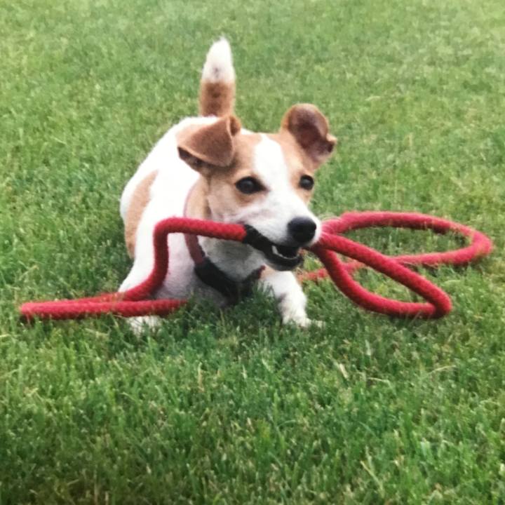 C01739b5 8abc 4c83 9a13 f04e01912701 1548675268908