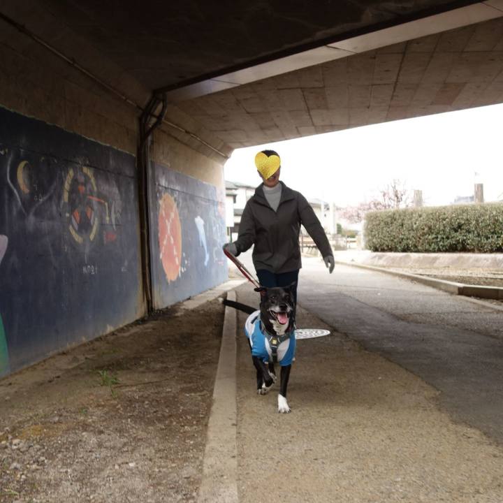 C0175bec 43a8 401b b1b4 a0a9c770b2d9 1742000234153