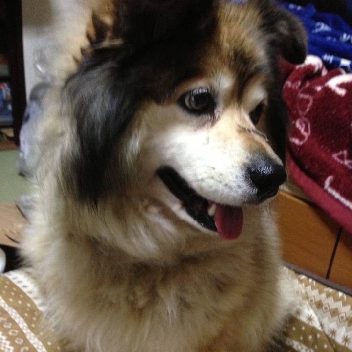 C0177a46 0799 4b44 afbe 62f91fd2014d 1614937803624