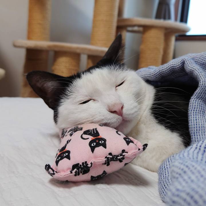 C01789d5 82fe 49b2 a819 c4379907c65a 1630631682514