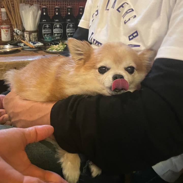 C0179885 a7dc 4605 8932 9265dc63fc54 1764325513047