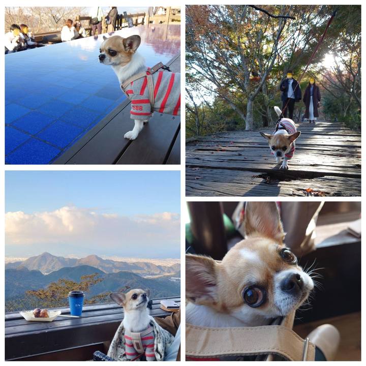 C0179fd4 e905 4c54 8629 fbd1bec61e7f 1669624965796